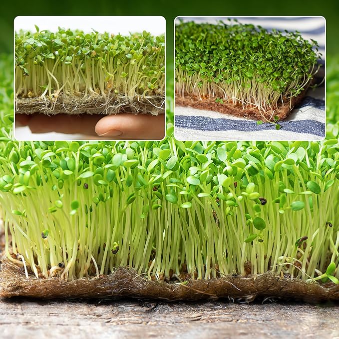 10 Pack Jute Grow Mat for Microgreens, 5" x 5" Hydroponic Grow Pads for Growing Tray Sprouting Trays Jute Fiber Seed Starter Planting for Micro Greens & Wheatgrass