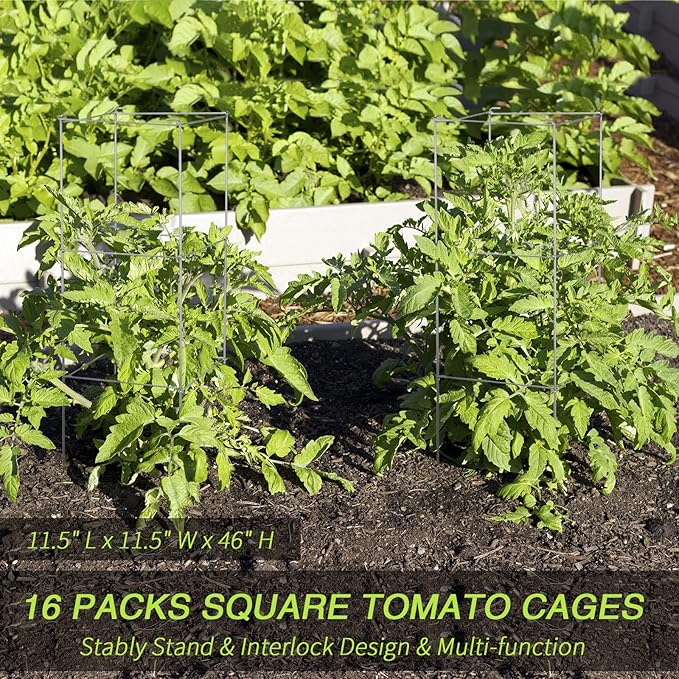 Hicarer 16 Pack Square Tomato Cage Heavy Duty Tomato Cages for Garden Vegetable Plant Trellis Stakes Plant Support Stake Tower for Climbing Vegetables Plants Flowers Fruit (11.5 x 46 Inches,Silver)