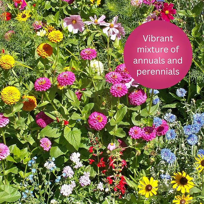 Earth Science Wildflower Butterfly & Hummingbird Mix—6 lb— 3-in-1 Premium Wildflower Seed, Plant Food and Soil Conditioners, Non-GMO for Bees, Hummingbirds, Butterflies, Pollinators