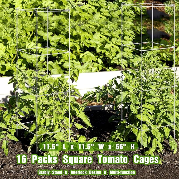 Hicarer 16 Pack Square Tomato Cage Heavy Duty Tomato Cages for Garden Vegetable Plant Trellis Stakes Plant Support Stake Tower for Climbing Vegetables Plants Flowers Fruit (11.5 x 56 Inches,Silver)