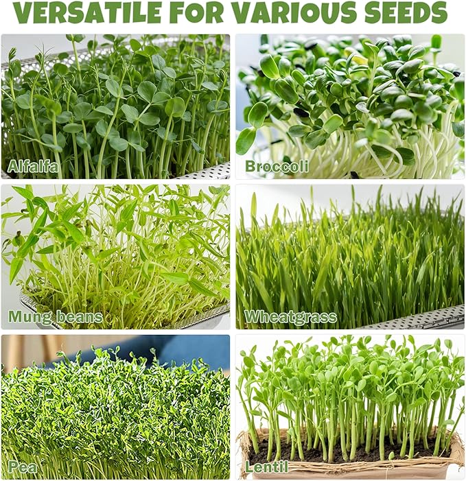 2 Pack Stainless Steel Seed Sprouter Trays, 2-Tier Soil-Free Microgreens Growing Kit, Sprouting Tray with Cover Lids & Mesh Pads for Sprouts Beans Alfalfa Wheatgrass