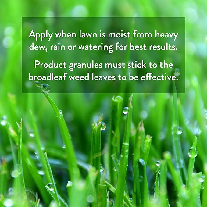 GreenView Weed & Feed - 13 lb. Bag - Covers 5,000 sq. ft.