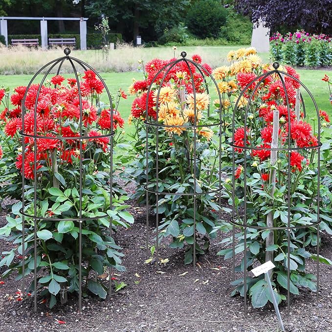 SUNYRISY 3 Pack Metal Plant Support Cage for Tomato Peony Cucumber, 31.5in H Garden Arch Obelisk Trellis for Climbing Plants Supports Outdoor for Vine Vegetables Flowers, Black