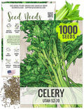 Seed Needs Celery Seeds for Planting Utah 52-70 Celery - Non-GMO, Heirloom & Untreated - Grow a Home Grown Outdoor Vegetable Garden for Fresh Produce (1 Pack)