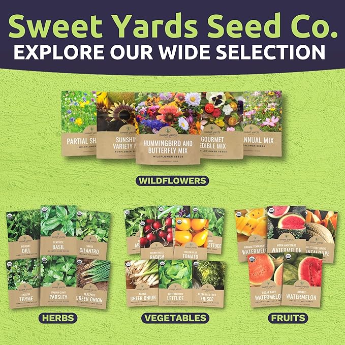 Catnip Seeds – Two Seed Packets! – Over 880 Open Pollinated Non-GMO Seeds – Sweet Yards Seed Co.