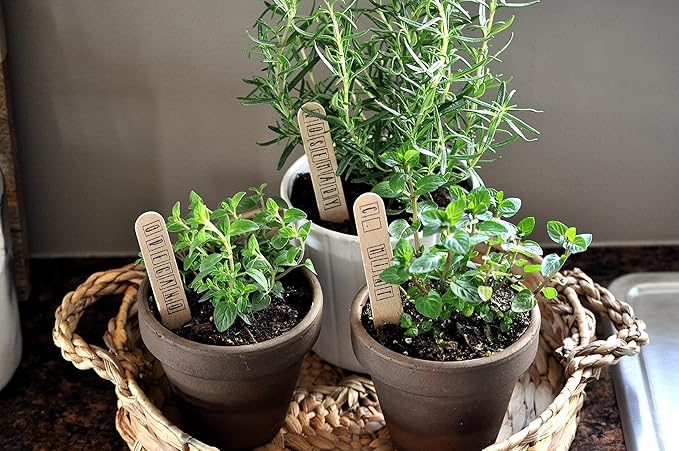 Organic Potting Soil Mix 10qt for All Indoor & Outdoor Small Containers Including Herbs, Vegetables, and Flowers