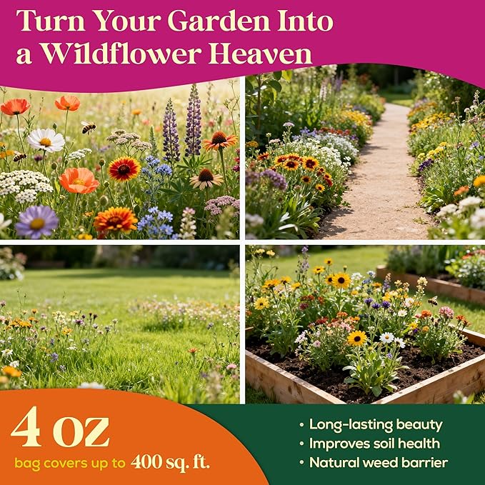Seedphony 19 Bee Wildflower Seeds Mix 4oz - 100,000 Non-GMO Heirloom Seeds for Planting, Perennial Flowers in Waterproof Seed Packet, Flower Seed Mix for Pollinators, Planting Garden Indoor & Outdoor
