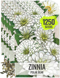 Seed Needs Polar Bear White Zinnia Seeds for Planting - Heirloom & Untreated - Grow a Butterfly Garden to Attract Butterflies, Bees and Pollinators - Great Cut Flowers (5 Packs)
