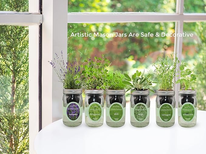 Hydroponic Herb Growing Kit, Self-Watering Mason Jar Herb Garden Starter Kit Indoor, Windowsill Herbs Garden, Grow Your Own Herbs from Organic Seeds (Chamomile)