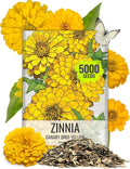 Seed Needs Zinnia Seeds Canary Bird Yellow Variety Fast Blooming | 5,000+ Heirloom & Open Pollinated Seeds | Annual Cut Flowers Large Blooming | Bulk