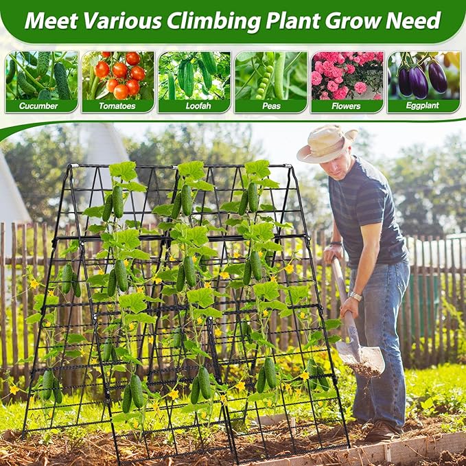 2 Packs Cucumber Trellis for Raised Bed 42 x 16 A Frame Metal Adjustable Garden Trellis for Climbing Plants Outdoor, Foldable Coated Steel Easy Install Cucumber Trellis for Vegetable Fruit Flower