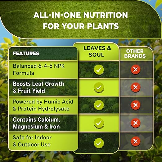 Leaves and Soul Professional Lime Tree Fertilizer Liquid Concentrate - 6-4-6 Blend for Fruit Tree Fertilizer, Garden - Liquid Plant Food for Lime Trees in Pots or Outdoors - 32oz