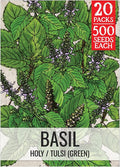 Seed Needs Holy Basil Tulsi Seeds for Planting - Non-GMO Heirloom & Untreated Medicinal Herbal Plants to Grow Indoors or Outdoors - Sacred Hindu Herbs (20 Packs)