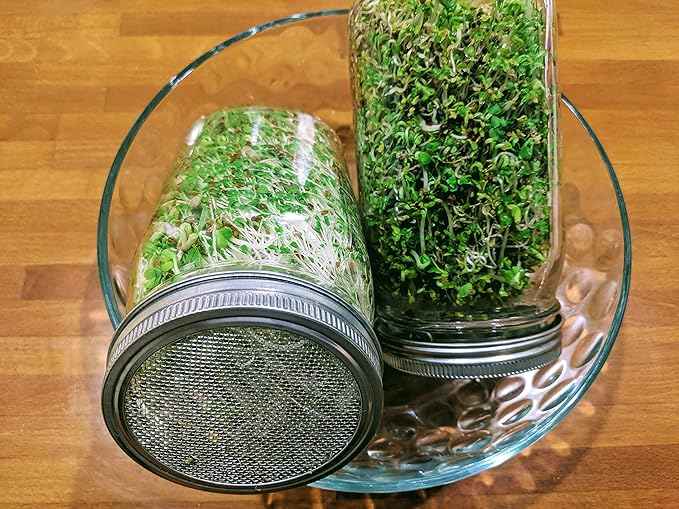 Sprouting Jar with Screen Lid-316 Stainless Steel 100% Rust Free, Wide Mouth Quart Mason Jar Kit Sprouter, Organic Healthy Fresh Broccoli, Alfalfa, Mung Bean Sprouts and more (Seeds not included)