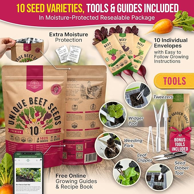 Organo Republic 10 Rare Beet Seeds Variety Pack for Planting Indoor & Outdoors 1625+ Heirloom Non-GMO Bulk Beets Gardening Seeds: Chioggia, Detroit Dark Red, Sugar, Cylindra, Bulls Blood, White Albino