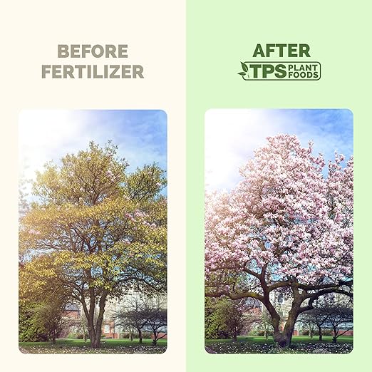 Magnolia Tree Fertilizer – Liquid Plant Food for More Blooms, Rich Green Leaves & Stronger Root Development, 32 oz