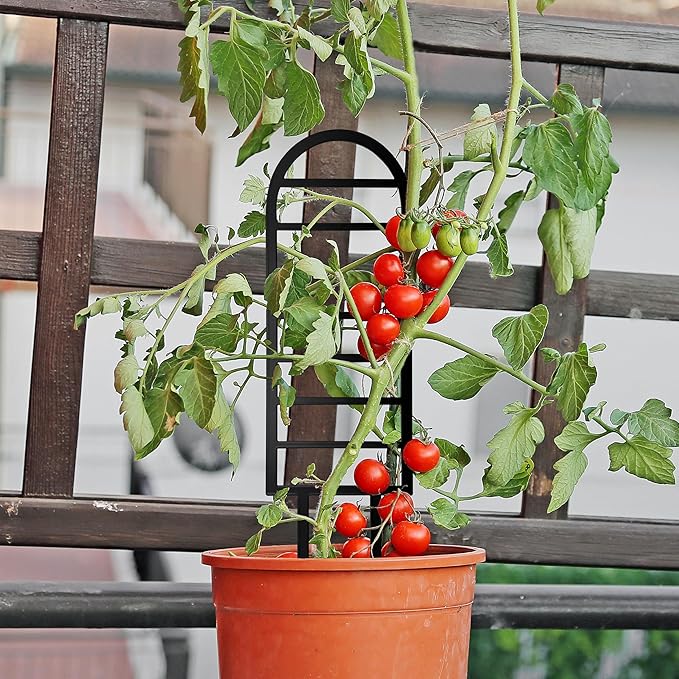 Metal Ladder Arch Indoor Plant Trellis,14.96 inch Metal Plant Trellis for Climbing Plants Indoor.Rustproof House Plant Support for Pothos Hoya Ivy Flower