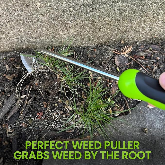 Garden Guru Root Weeder Tool with Ergonomic Handle - Stainless Steel Weed Puller for Planting, Weeding, Flower and Vegetable Care in Lawn Garden Yard | Rust Resistant (2 Pack)