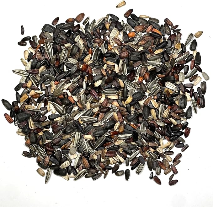 Seed Needs Sunflower Seeds for Planting The Original Crazy Blend | 2 Ounce 15+ Heirloom Varieties Open Pollinated & Untreated | Resealable Bulk Package Multicolored Blooms Flower Seeds