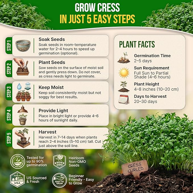 Organo Republic Curled Cress Seeds Pack 5G - Over 2,150 Non-GMO Heirloom Cress Seeds for Planting Greens in Individual Seed Packet, Greens Seeds for Planting Home Garden Indoor & Outdoor Gardening