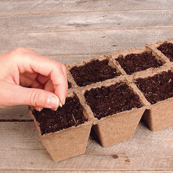 Jiffy Seed Starting Strips - Biodegradable, Plant Starter Pots, 10 Cell, 50 Strips - Peat