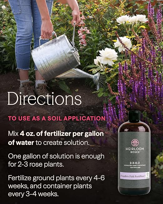 Heirloom Roses Founder’s Fish Fertilizer, Plant Food for Plants, Organic Liquid Emulsion Fertilizer, Garden Fertilizers for Rose Flower and Tomato Outdoor Gardening, 32 Fl Ounces, Pack of 2