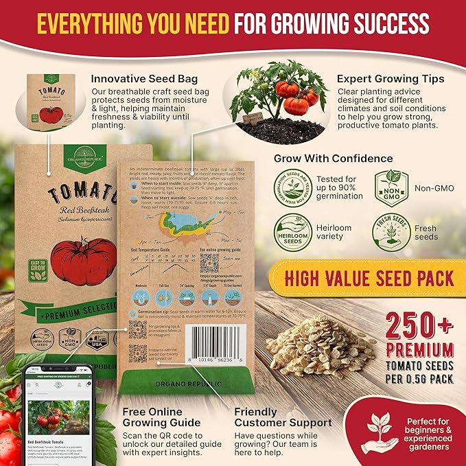 Red Beefsteak Tomato Seeds Pack 0.5 G - Over 250 Non-GMO Heirloom Tomato Seeds for Planting Vegetables in Individual Seed Packet, Vegetable Seeds for Planting Home Garden Indoor & Outdoor Gardening