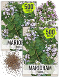 Seed Needs Sweet Marjoram Seeds for Planting - Heirloom, Non-GMO & Untreated - Perennial Culinary & Medicinal Herbs for Indoor/Outdoor Growing (2 Packs)