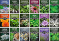 Medicinal Herb Seeds for Planting | 18 Seed Variety Pack of Heirloom, Non-GMO Herbs – Herbal Teas, Tinctures & Home Apothecary Garden Kit – Survival Garden Seeds