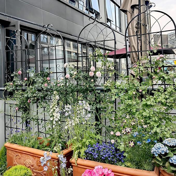 2 Pack 71x20in Garden Trellis, Black Metal Coating Rustproof, Easy to Install + Perfect for Supporting Climbing Plants Outdoor Roses, Vines, Flowers, and Vegetables