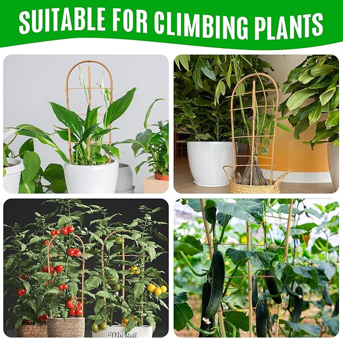 SWANGSA 10 Pack Bamboo Trellis for Climbing Plants, 16" U-Shape Bamboo Plant Trellis, Garden Trellis for Climbing Plants, Outdoor and Indoor Potted Plants, House Plants