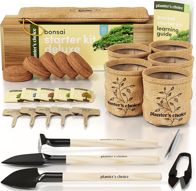 Planter's Choice Bonsai Tree Starter Kit - Unique Easter Gifts for Women, Men - Birthday Gifts for Adults - Indoor Live House Plants - DIY for Adults Craft Kits - Hobby Gift for Gardening Lovers