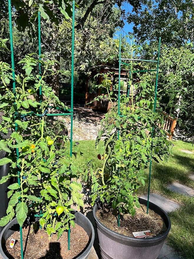 G-LEAF 6 Pack 6ft Tomato Cage for Garden Plant Support, Garden Stakes Tomato Cage, Tomato Cages Plant Stakes for Climbing Plants