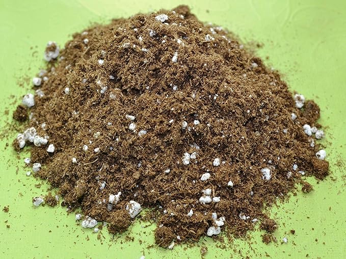 Venus Fly Trap, Pitcher, Butterworts, Bladderworts Drosera Carnivorous Plant Potting Soil Mix Peat Moss & Perlite (½ Gallon / 2 quarts).