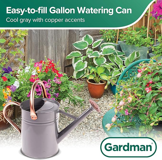 Gardman R34884 1 Gallon Watering Can, Cool Gray