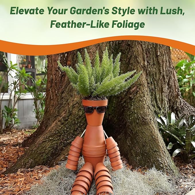 Outsidepride Meyeri Asparagus Fern Seeds - 10 Pcs. Perennial, Easy to Grow & Pollinator Friendly, Flower Seeds for Planting Evergreen Feather-Like Stems for Hanging Baskets & Summer Gardens