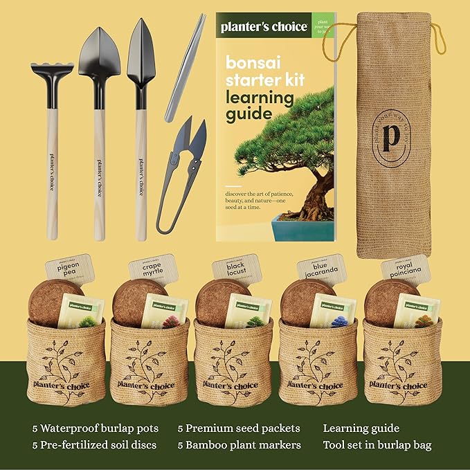 Planter's Choice Bonsai Tree Starter Kit - Unique Easter Gifts for Women, Men - Birthday Gifts for Adults - Indoor Live House Plants - DIY for Adults Craft Kits - Hobby Gift for Gardening Lovers
