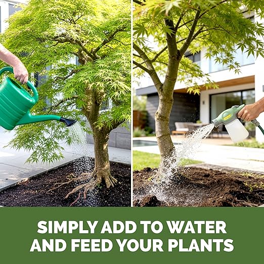 Japanese Maple Fertilizer, Complete Liquid Plant Food for All Japanese Maple Tree Varietals, 1 Gallon (128 oz)