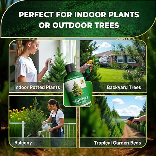 Leaves and Soul Professional Evergreen Tree Fertilizer Liquid Concentrate - 6-4-6 Blend for Evergreens, Garden Use - Liquid Plant Food for Evergreen Trees and Shrubs Outdoors - 8oz