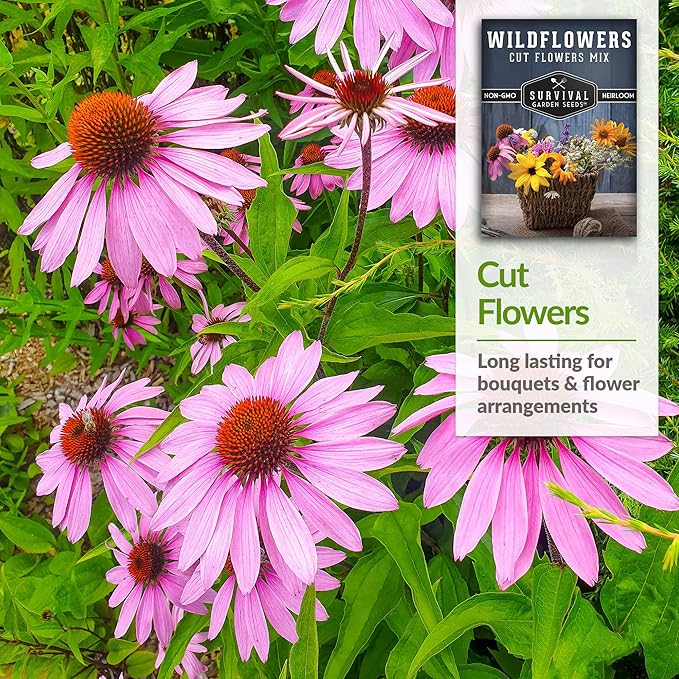 Survival Garden Seeds Cut Flowers & Wildflower Seed Mix for Planting – 1 Packet with Instructions to Grow Cut Flowers in Your Home Vegetable Garden – Non-GMO Heirloom Wildflower Seeds