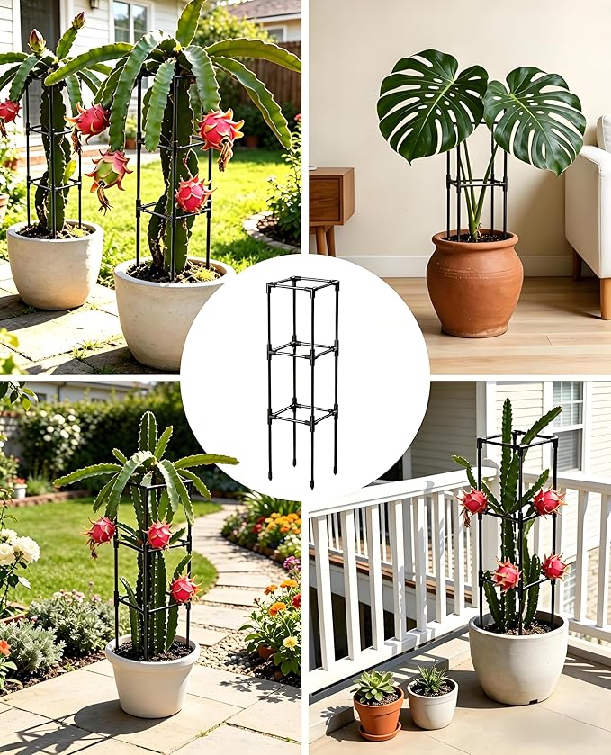 2PCS Dragon Fruit Trellis for Climbing Plants Indoor Outdoor, Heavy Duty Metal Adjustable Vertical Garden Support for Indoor Outdoor Potted Plants, Tomato, Cactus, Roses,Vines(10 * 10 * 47inch,2PC)
