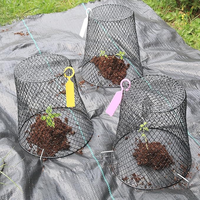 Anothera 10Pcs Chicken Wire Cloche Plant Covers, 9.2×9.2 Inches Plant Protectors from Animals, Metal Garden Plant Cages for Outdoor Plants, Keep Rabbits, Squirrels, Birds Out