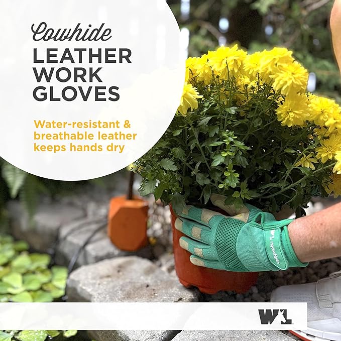 Wells Lamont Women's HydraHyde Leather Hybrid Gloves, Medium, Mint Green/Rust, Water-Resistant, Adjustable Wrist, 2-Pair Pack, for Gardening, Reusable, Adult