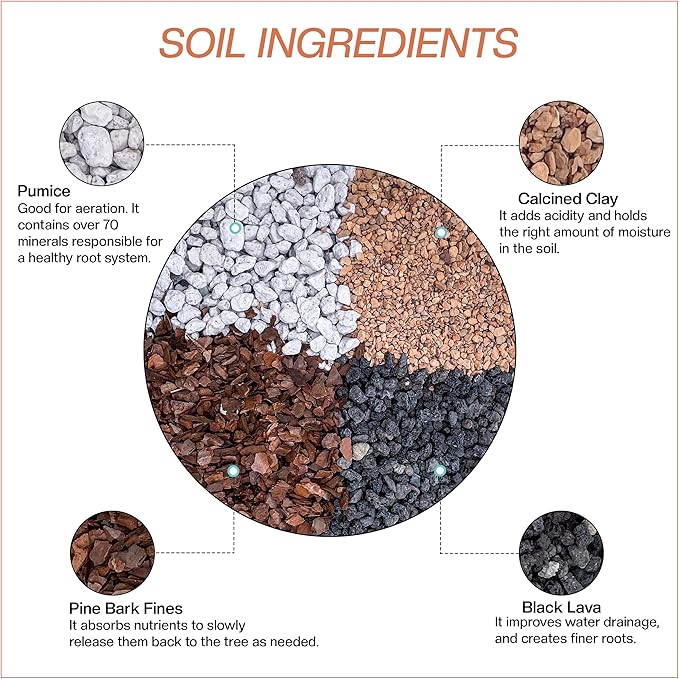 Bonsai Soil All Purpose Mix | Fast Draining Pre Blend (2 Quart Bag) Plant | Pumice, Lava, Calcined Clay and Pine Bark ● Potting Pre Mixed Bonsai Plant Soil Mixture By The Bonsai Supply