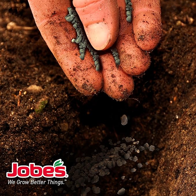 Jobe's Organics Granular Garden Fertilizer | For Vegetables & Tomatoes | 4 lbs Bag | Pack of 2