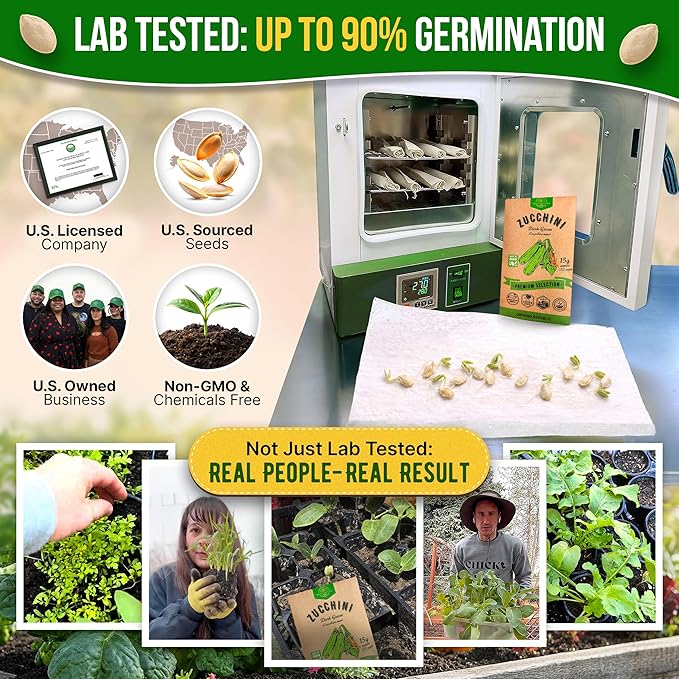 Organo Republic Dark Green Zucchini Seeds Pack 15 G - Over 150 Non-GMO Heirloom Zucchini Seeds for Planting Vegetable in Individual Seed Packet, Vegetable Seeds for Planting Indoor & Outdoor Gardening