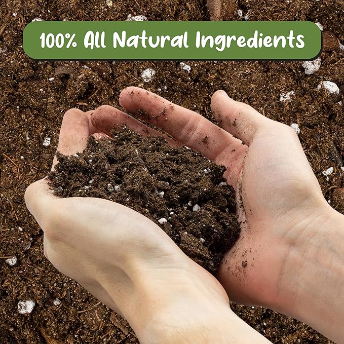 Soil Sunrise Fern Plant Potting Soil Mix (8 Quarts) Custom Hand Blended Mixture for Indoor/Outdoor Container Gardening