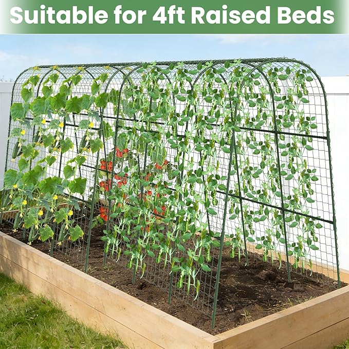 Cucumber Trellis, Metal Garden Arch Trellis for Raised Bed, 48 x 48inch U-Shape Garden Trellis for Climbing Plants Outdoor, Vegetables Fruit Plant Support with Netting, Gardening Supplies (Green)