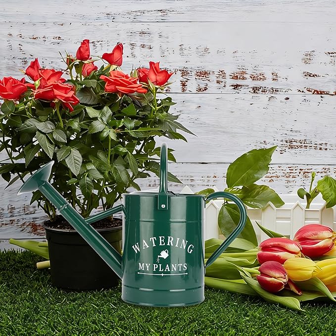 Galvanized Watering Can for Outdoor Indoor Plants, 1 Gallon Decorative Countryside Water Can with Removable Spout, Metal Watering Can for Indoor Plants and Garden Flower (Green)
