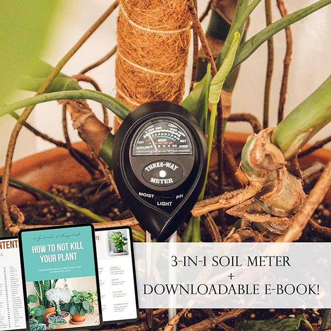 Classy Casita Plant Care Bundle: Sticky Traps, 24-Pack Plant Sticky Traps & 3-in-1 Garden Soil Tester Kit, Indoor and Outdoor Measuring Tool for House, Garden, Lawn,& Farm, White